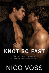 Knot So Fast Cover