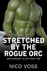 Stretched by the Rogue Orc Cover